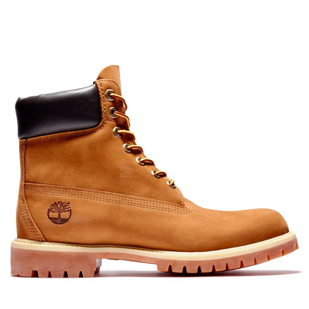 Botas de Nieve Timberland Hombre 6-Inch Premium Waterproof Marrones - Chile FMN-168579